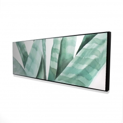 Watercolor striped desert plant