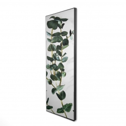 Eucalyptus stems