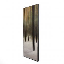 Forêt silencieuse