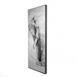 Grand éléphant