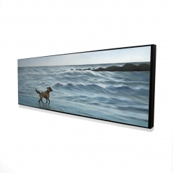 Chien à la plage