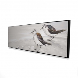 Deux oiseaux bécasseau
