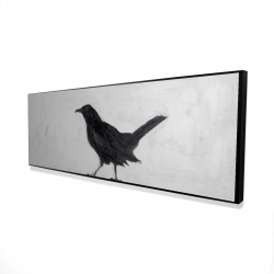 Lonely crow