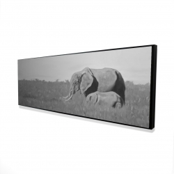 éléphants dans la savane