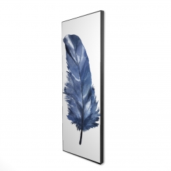 Blue feather