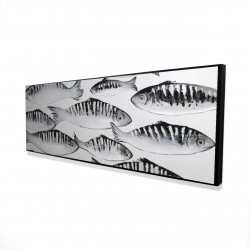 Gray shoal of fish