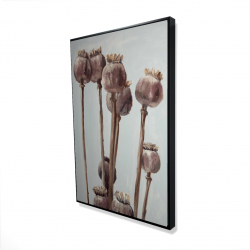 Framed 24 x 36 - 3D - Sepia poppy head plants