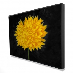 Yellow chrysanthemum