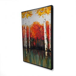 Bouleaux en automne