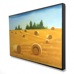 Paysage de la campagne