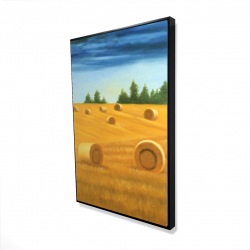 Paysage de la campagne