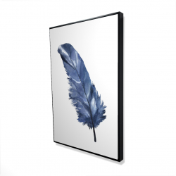 Blue feather
