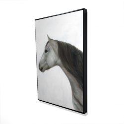 Winter horse