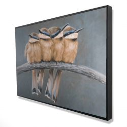 Four birds on a branch