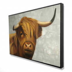 Highland cattle