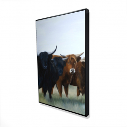 Framed 24 x 36 - 3D - Four highland cows