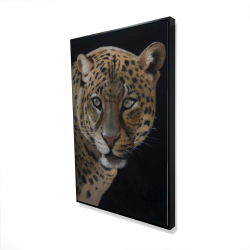 Realistic fierce leopard
