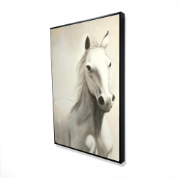 Gallant white horse