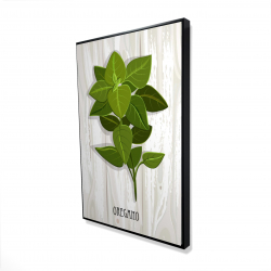 Origan sur bois