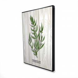 Estragon sur bois