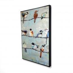 Small colorful birds