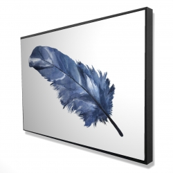 Blue feather