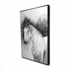 Domino le cheval