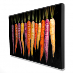 Variétés de carottes
