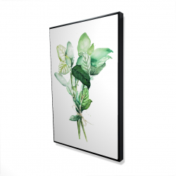 Framed 24 x 36 - 3D - Tied up basil leaves bundle