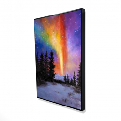 Aurora borealis in the forest