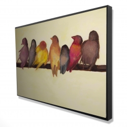 Bird family