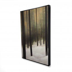 Forêt silencieuse