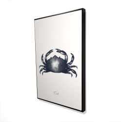 Crabe bleu