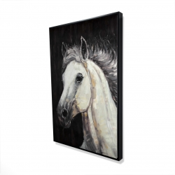 White star horse