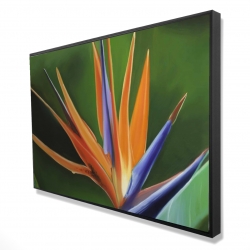 Framed 24 x 36 - 3D - Bird of paradise flower 