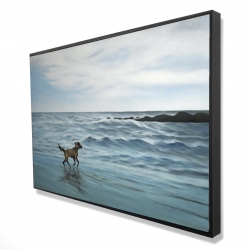 Chien à la plage