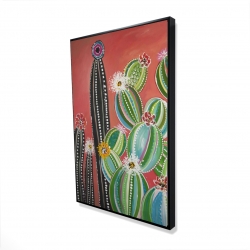 Cactus en arc-en-ciel