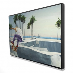 Planchodrome californie