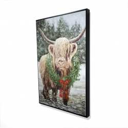 Highland christmas cow