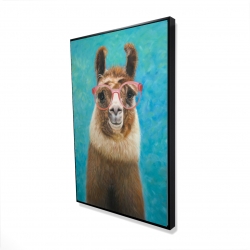 Aimable llama