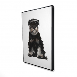 Schnauzer nain