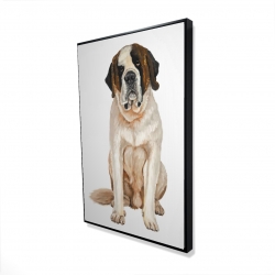 Saint-bernard