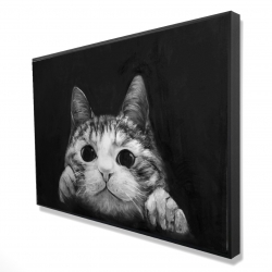Chat curieux