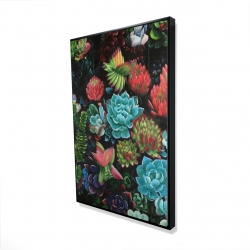 Framed 24 x 36 - 3D - Set of colorful succulents