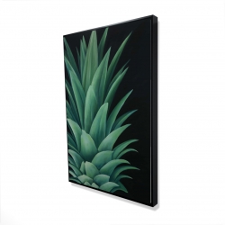 Feuilles d'ananas
