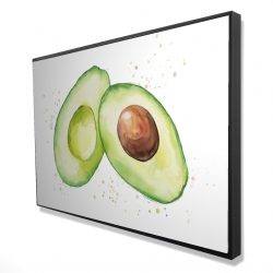 Avocat ouvert à l'aquarelle