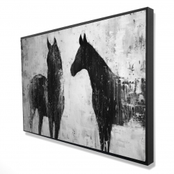 Chevaux blancs et noirs