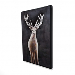 Lonely deer