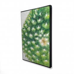 Watercolor mini cactus