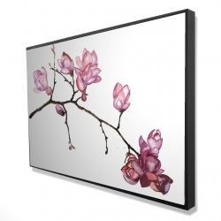 Branche de fleurs de cerisier